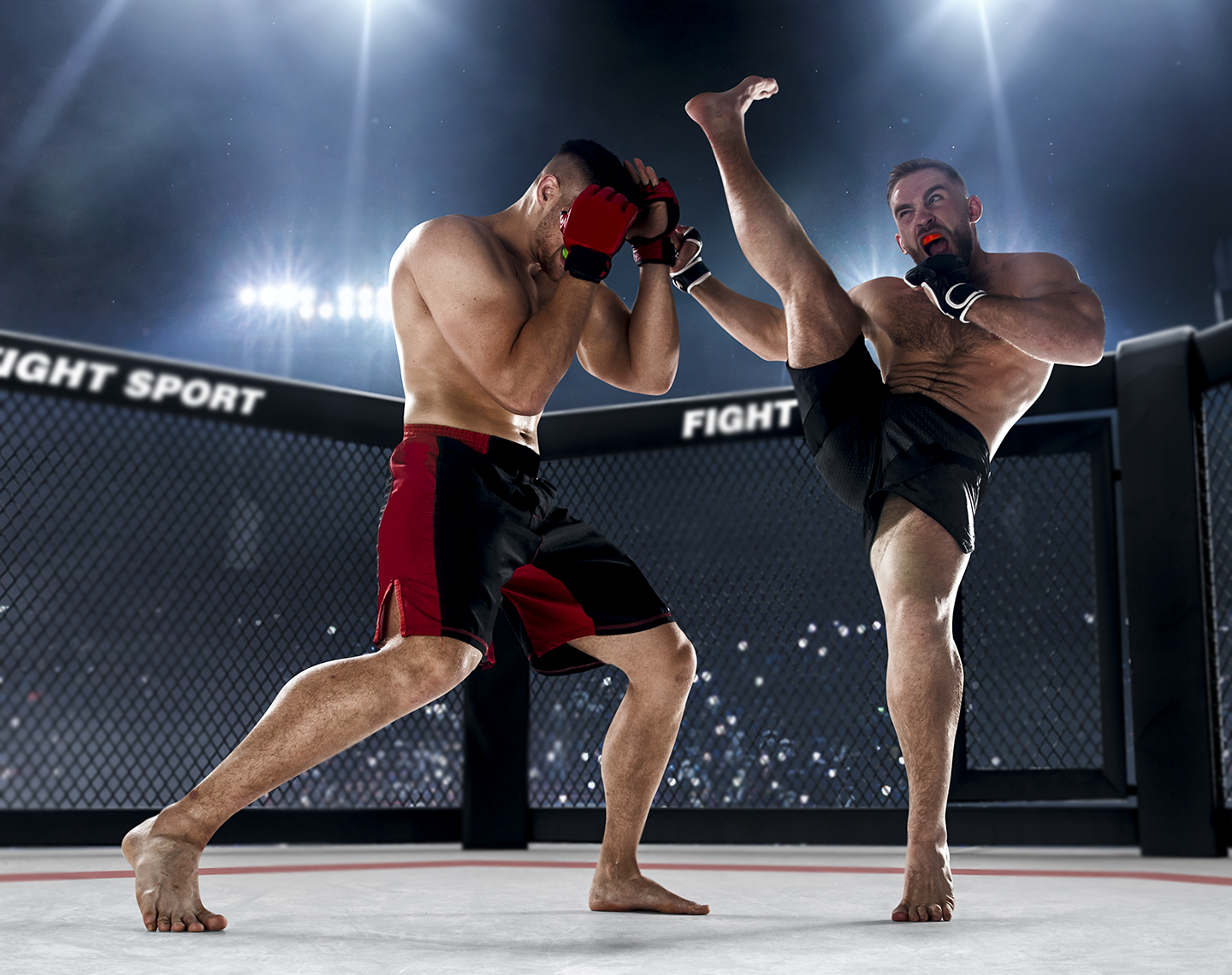 Two fighters in the ring